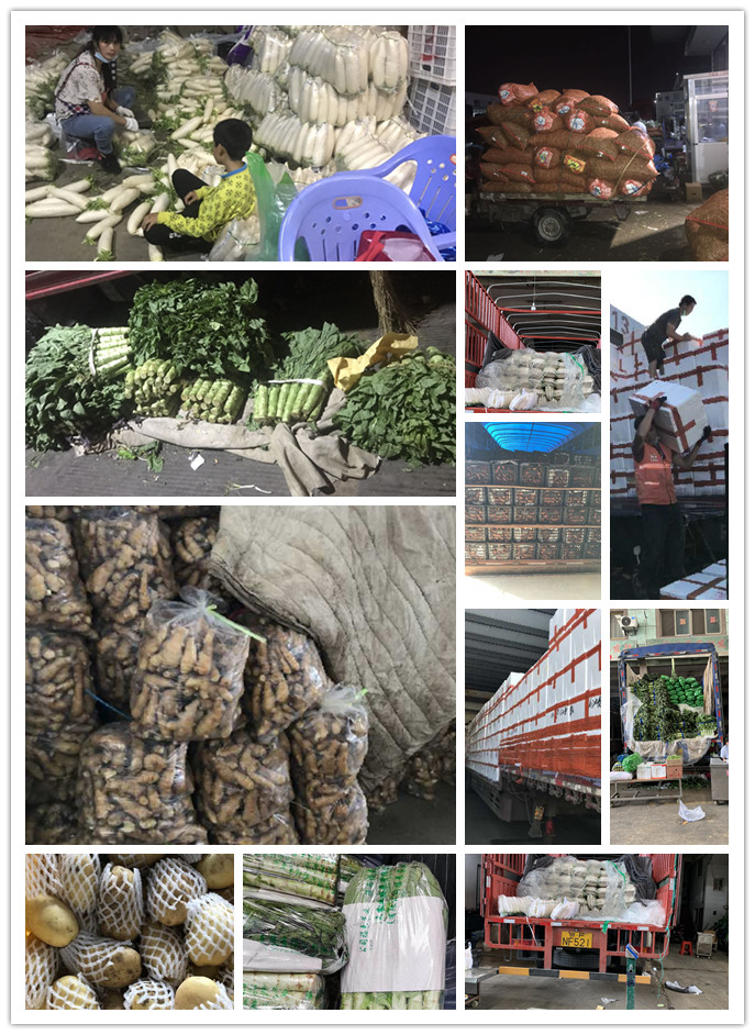 赏金船主·PG(中国游)官方网站