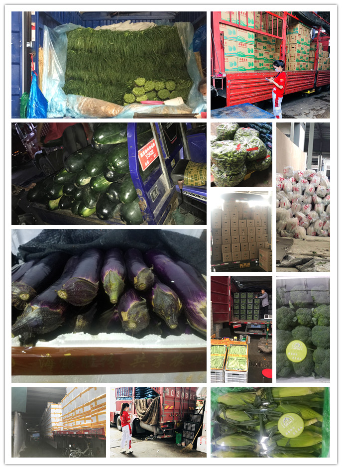 赏金船主·PG(中国游)官方网站