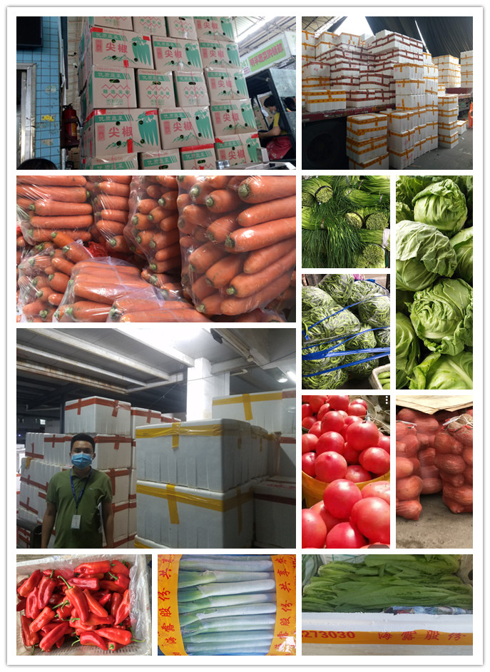 赏金船主·PG(中国游)官方网站