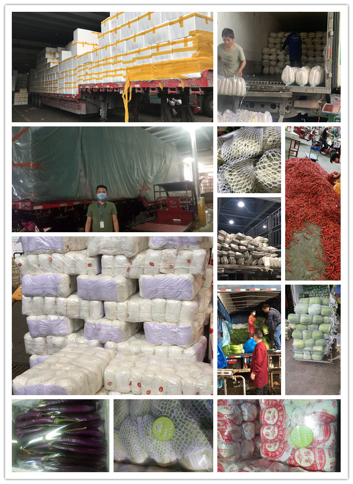 赏金船主·PG(中国游)官方网站