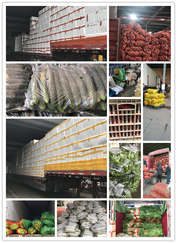 赏金船主·PG(中国游)官方网站