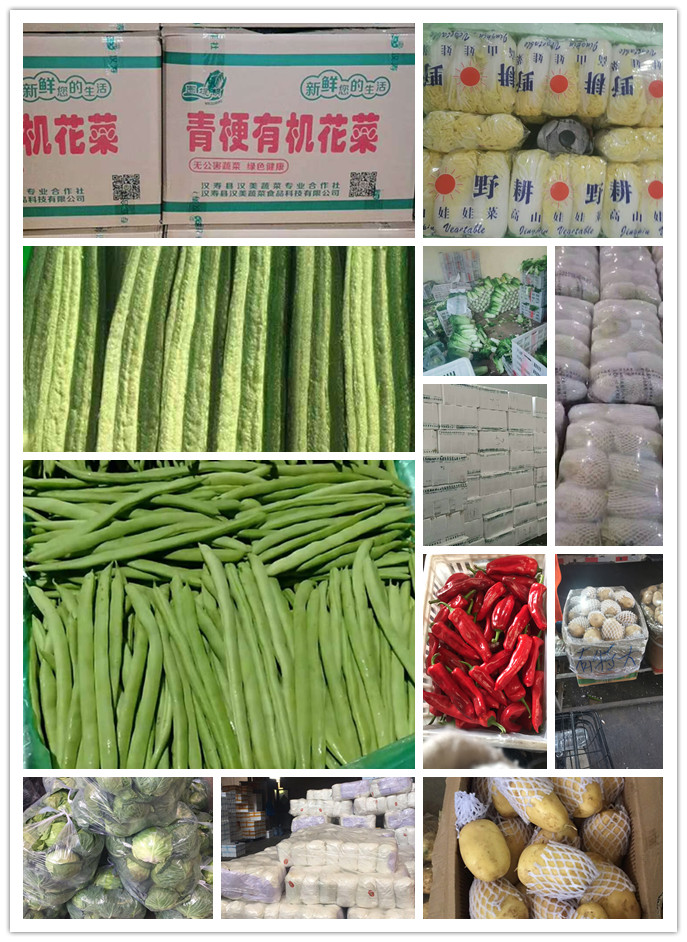 赏金船主·PG(中国游)官方网站