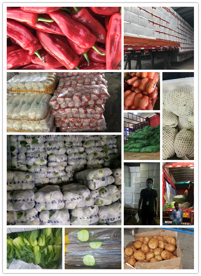 赏金船主·PG(中国游)官方网站