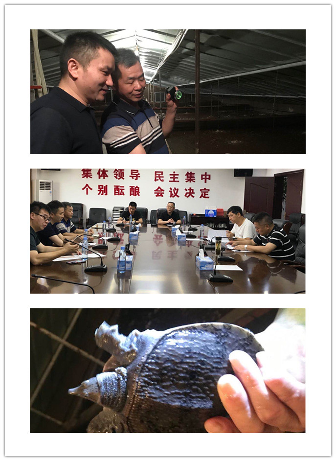 赏金船主·PG(中国游)官方网站