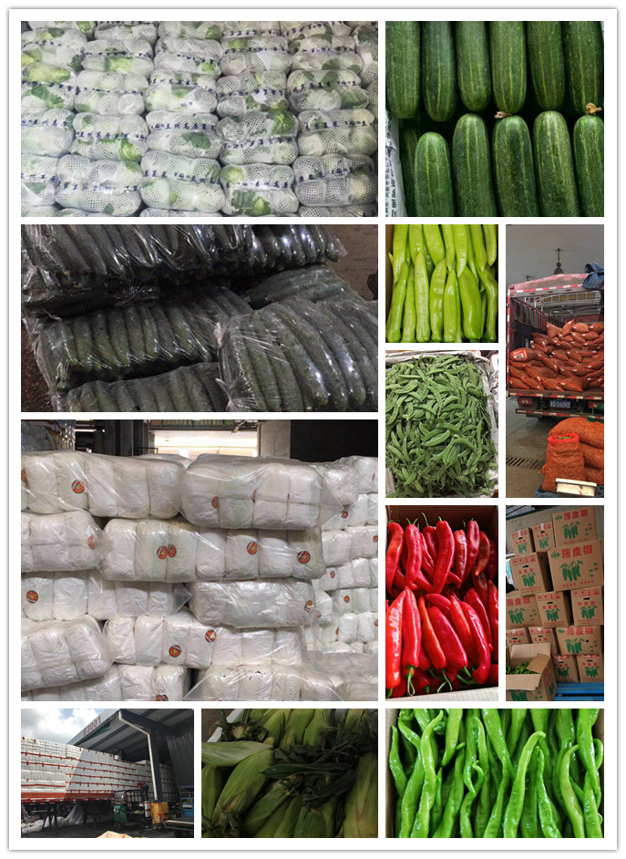 赏金船主·PG(中国游)官方网站