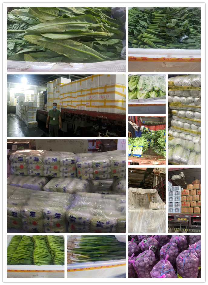 赏金船主·PG(中国游)官方网站