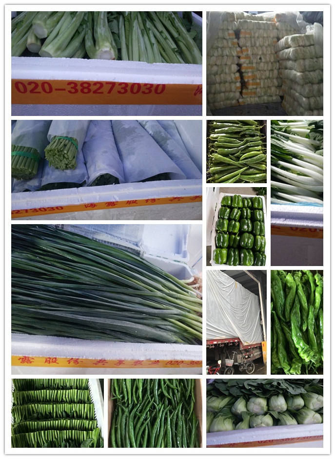 赏金船主·PG(中国游)官方网站