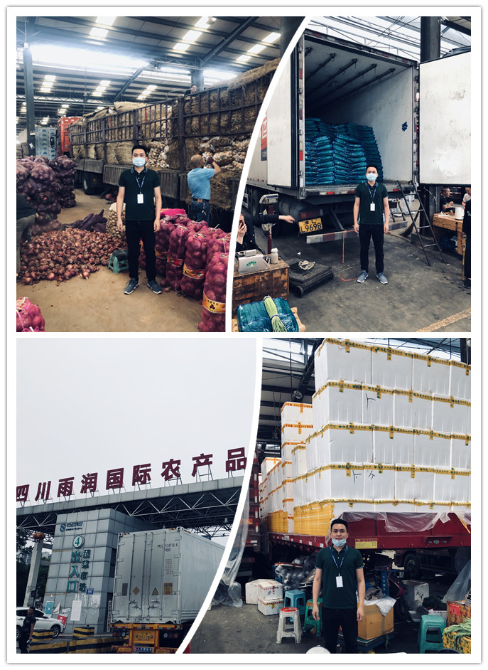 赏金船主·PG(中国游)官方网站