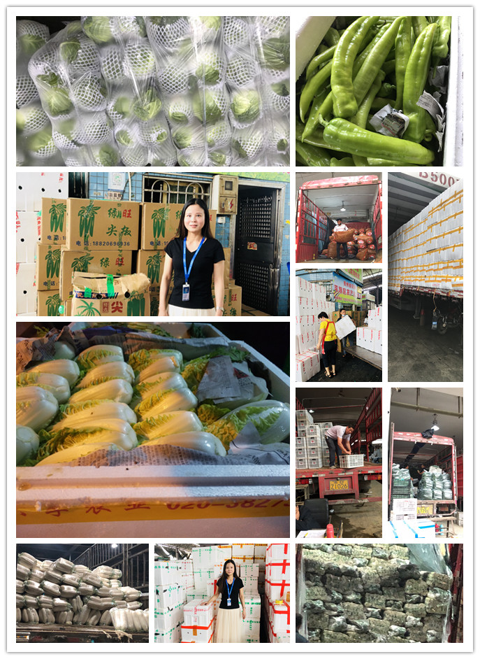 赏金船主·PG(中国游)官方网站