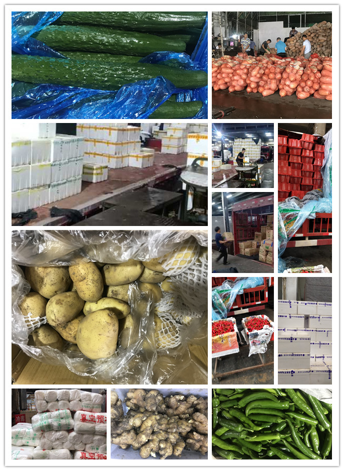 赏金船主·PG(中国游)官方网站