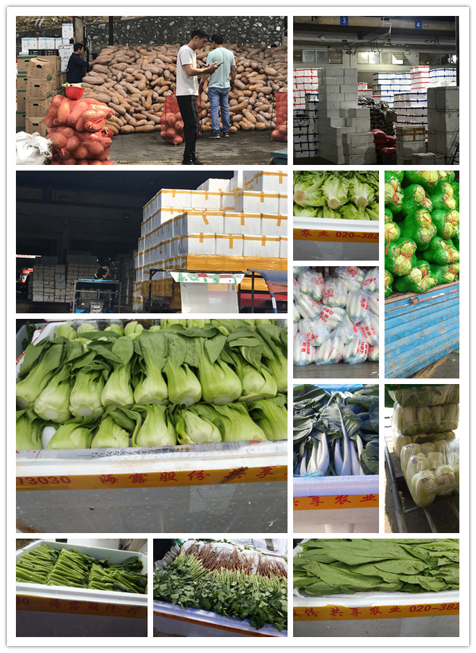 赏金船主·PG(中国游)官方网站