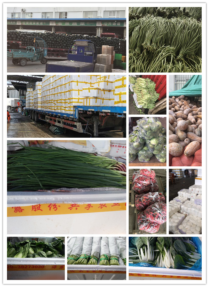 赏金船主·PG(中国游)官方网站