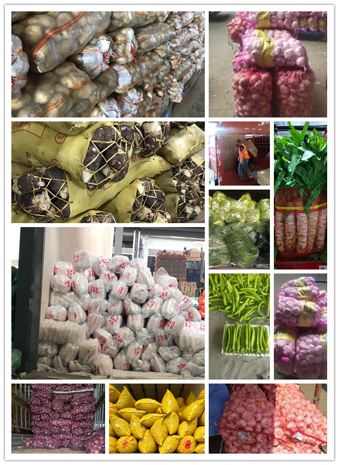 赏金船主·PG(中国游)官方网站