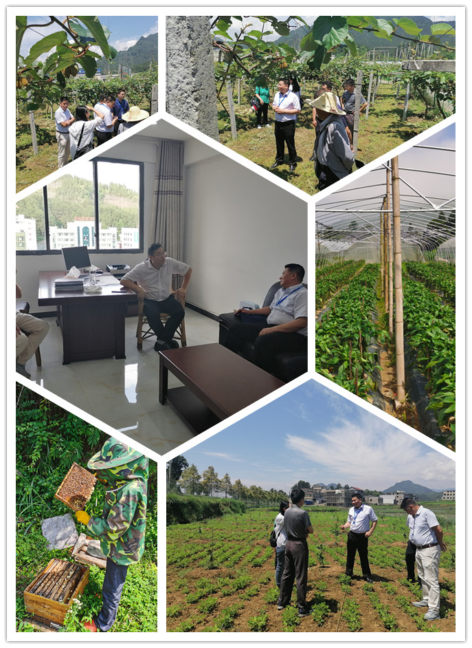 赏金船主·PG(中国游)官方网站