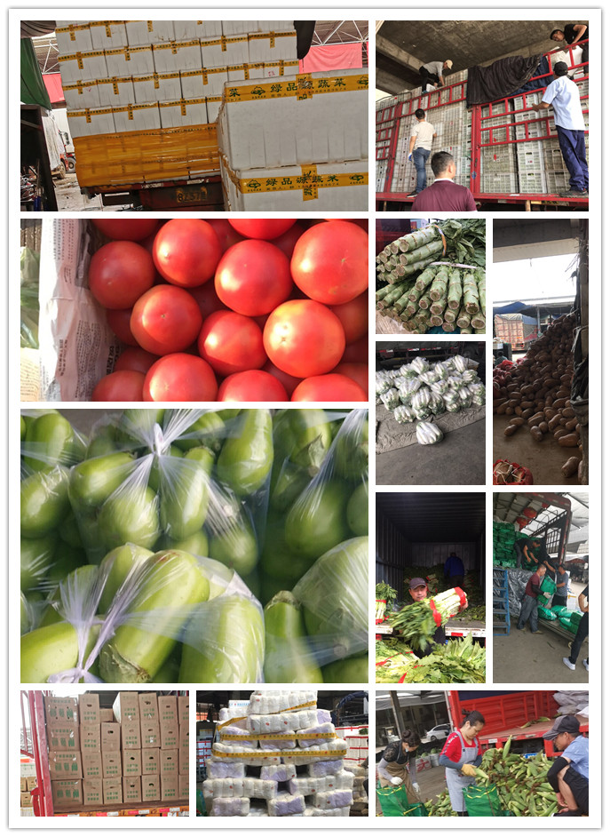 赏金船主·PG(中国游)官方网站