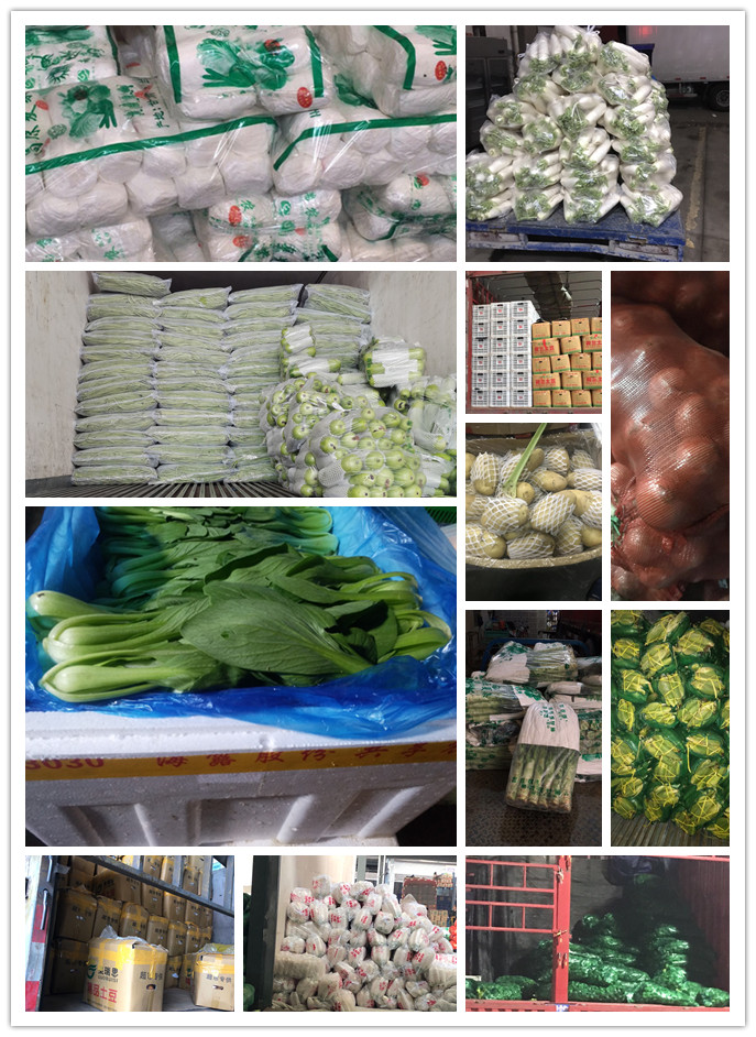 赏金船主·PG(中国游)官方网站