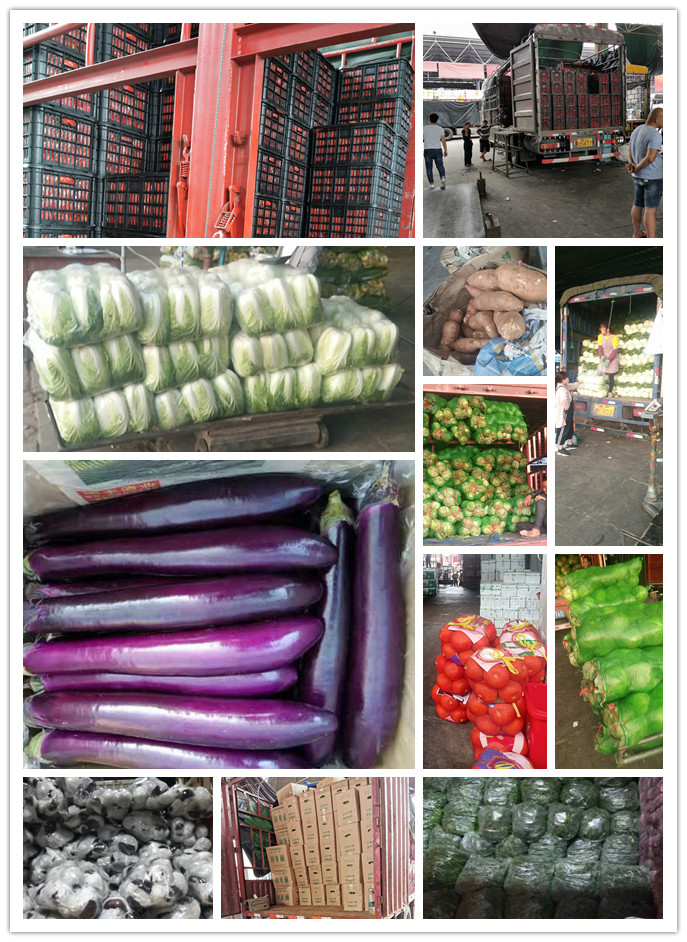 赏金船主·PG(中国游)官方网站