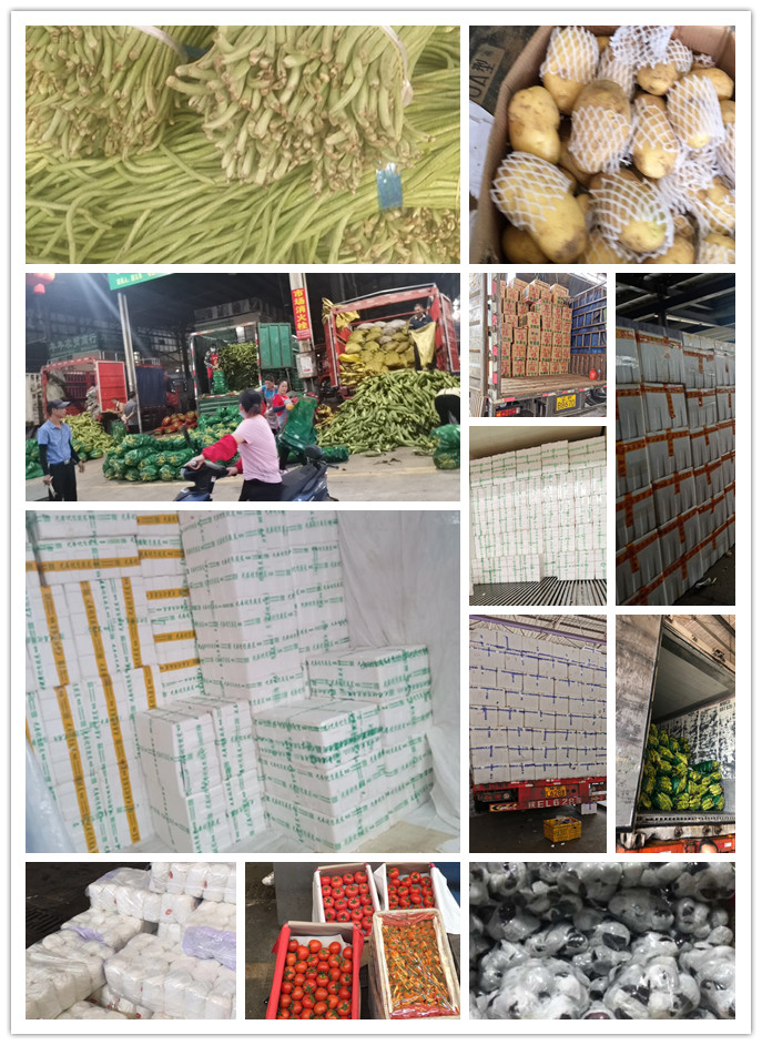 赏金船主·PG(中国游)官方网站