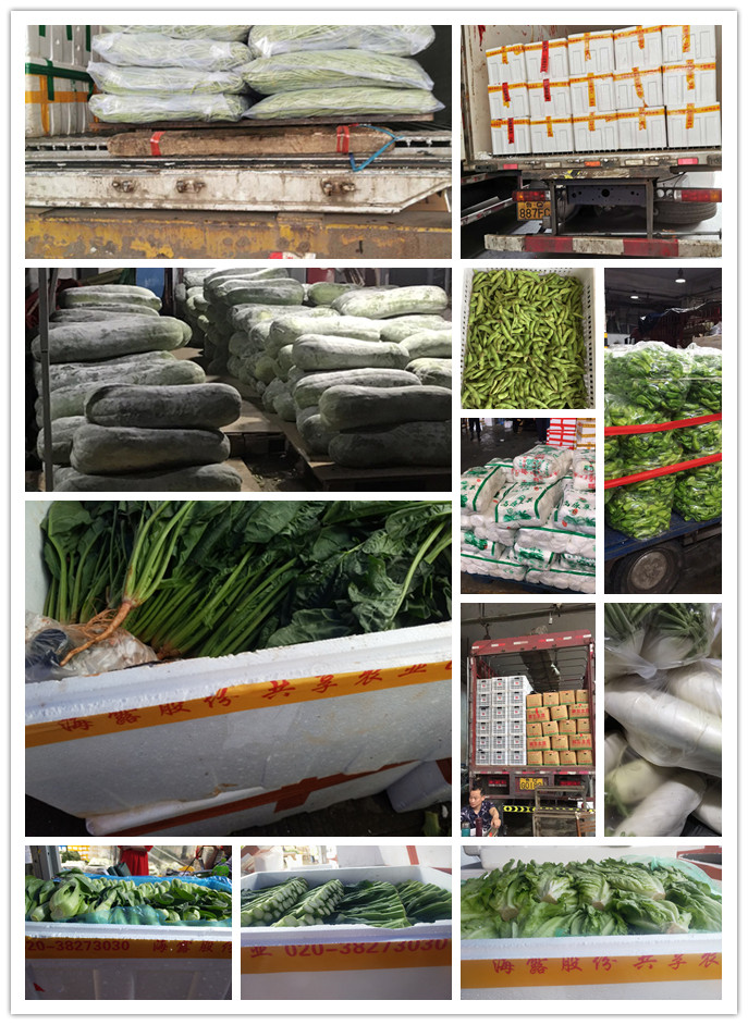 赏金船主·PG(中国游)官方网站