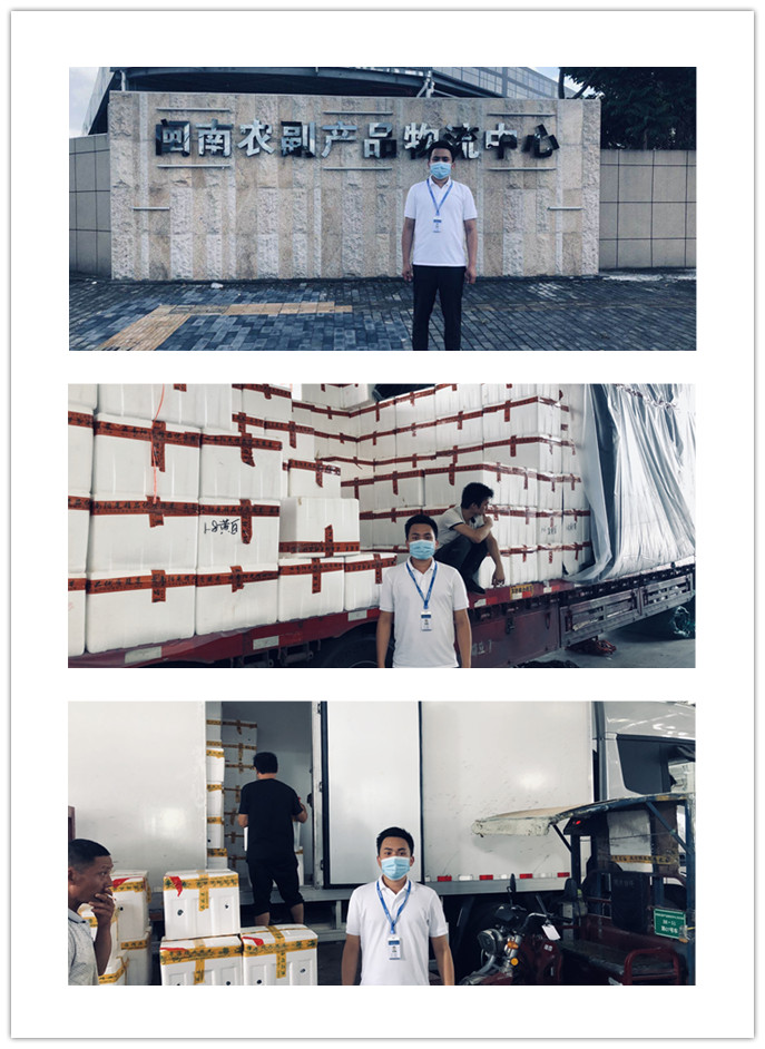 赏金船主·PG(中国游)官方网站