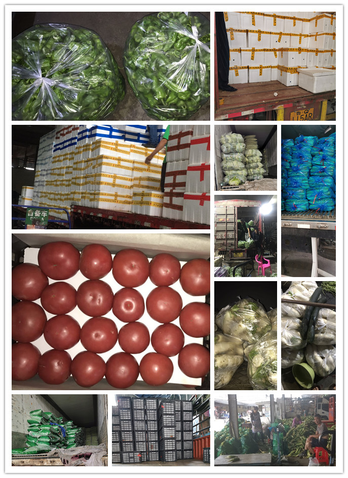 赏金船主·PG(中国游)官方网站