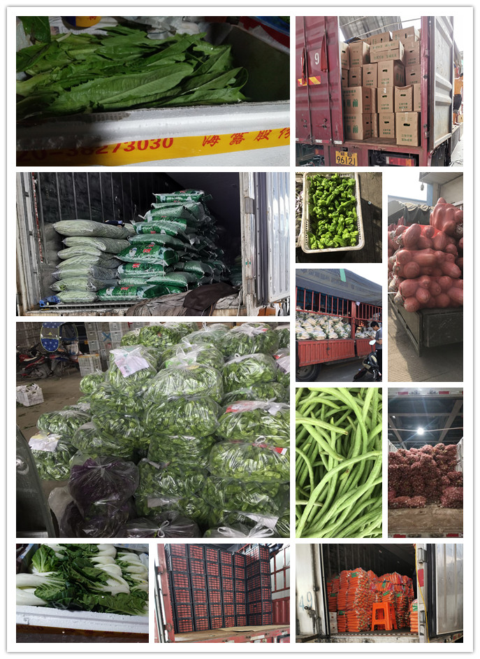 赏金船主·PG(中国游)官方网站