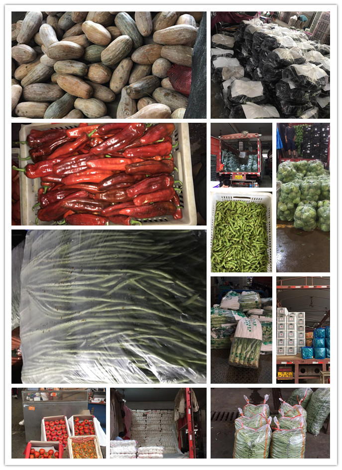 赏金船主·PG(中国游)官方网站