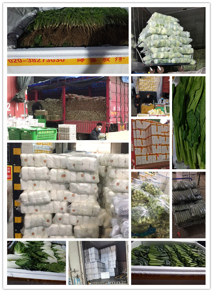 赏金船主·PG(中国游)官方网站