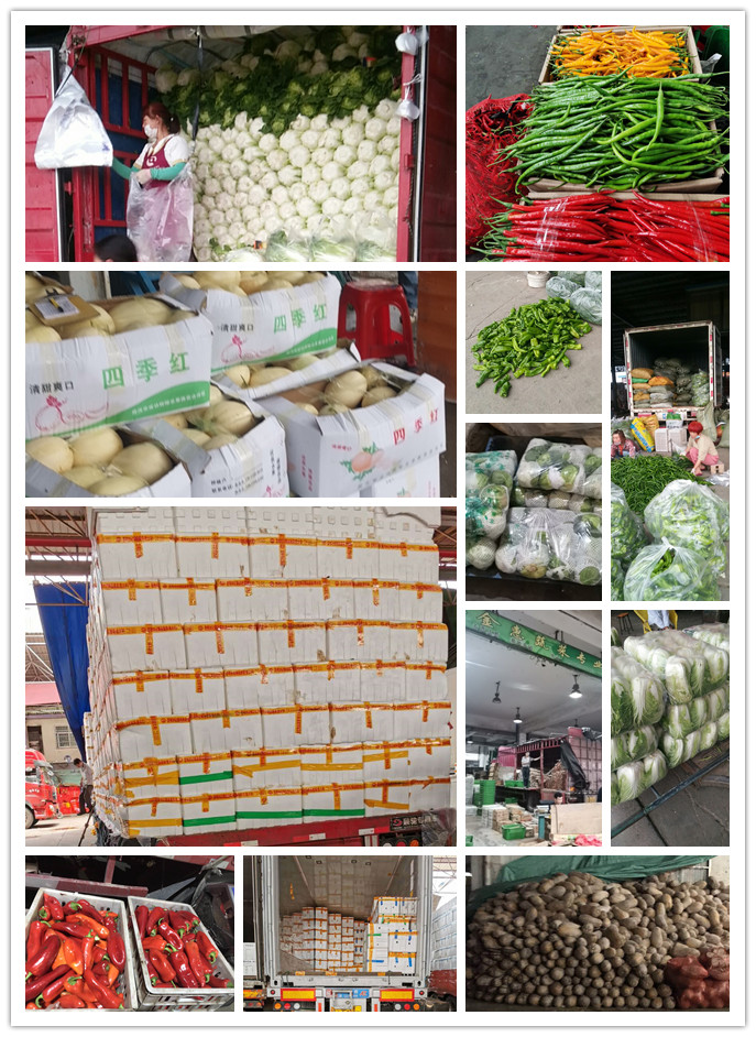 赏金船主·PG(中国游)官方网站