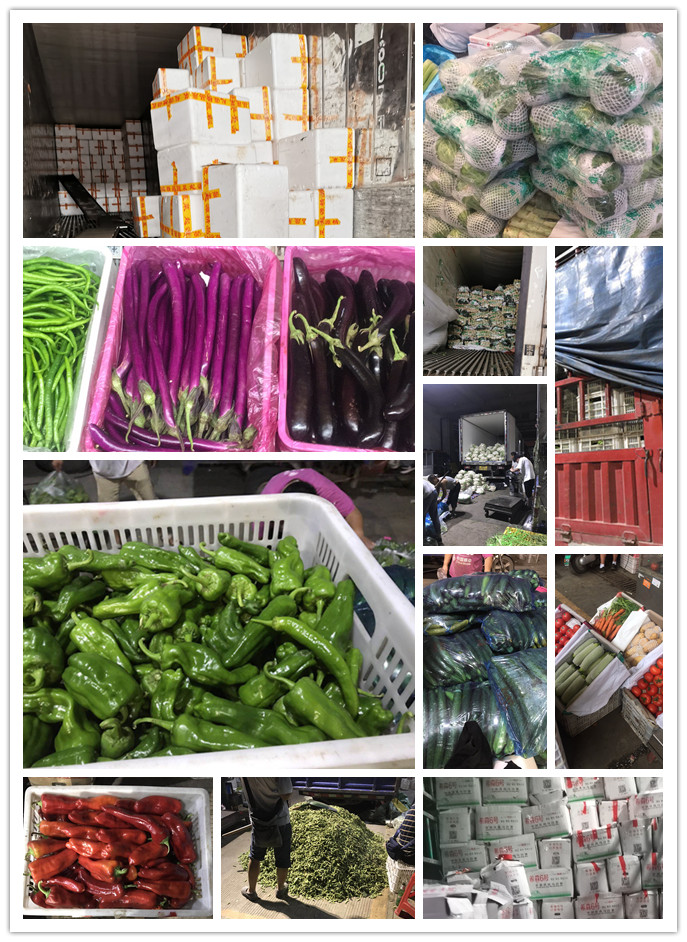 赏金船主·PG(中国游)官方网站