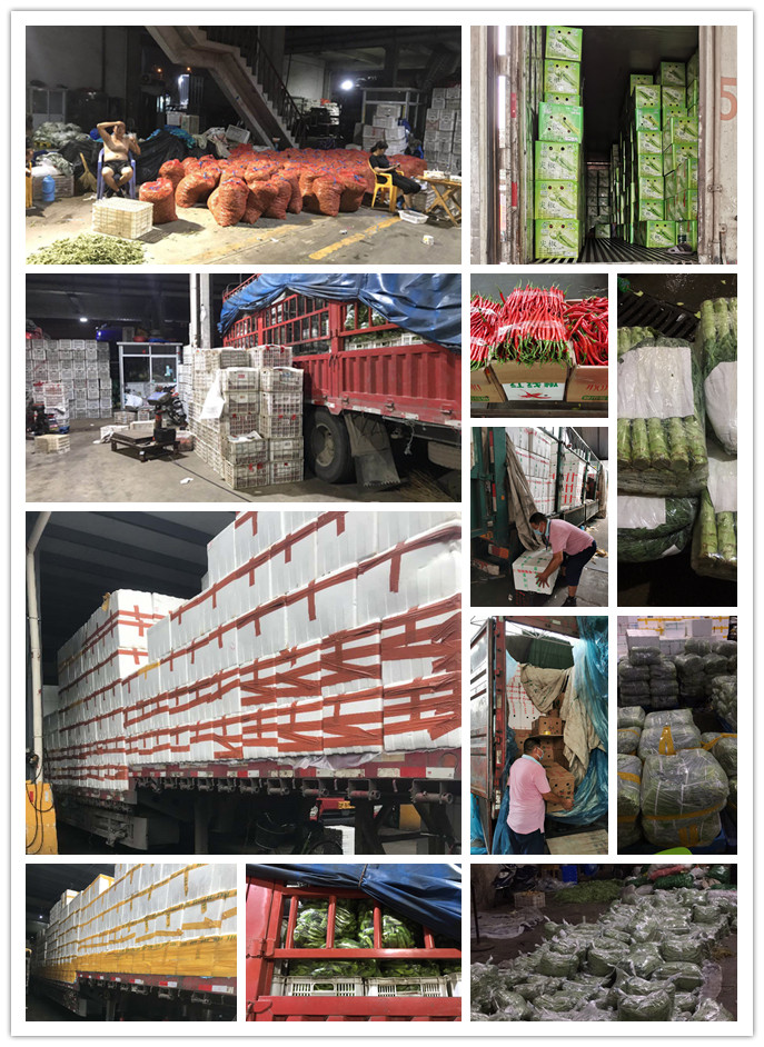 赏金船主·PG(中国游)官方网站