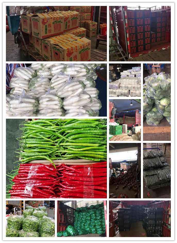 赏金船主·PG(中国游)官方网站