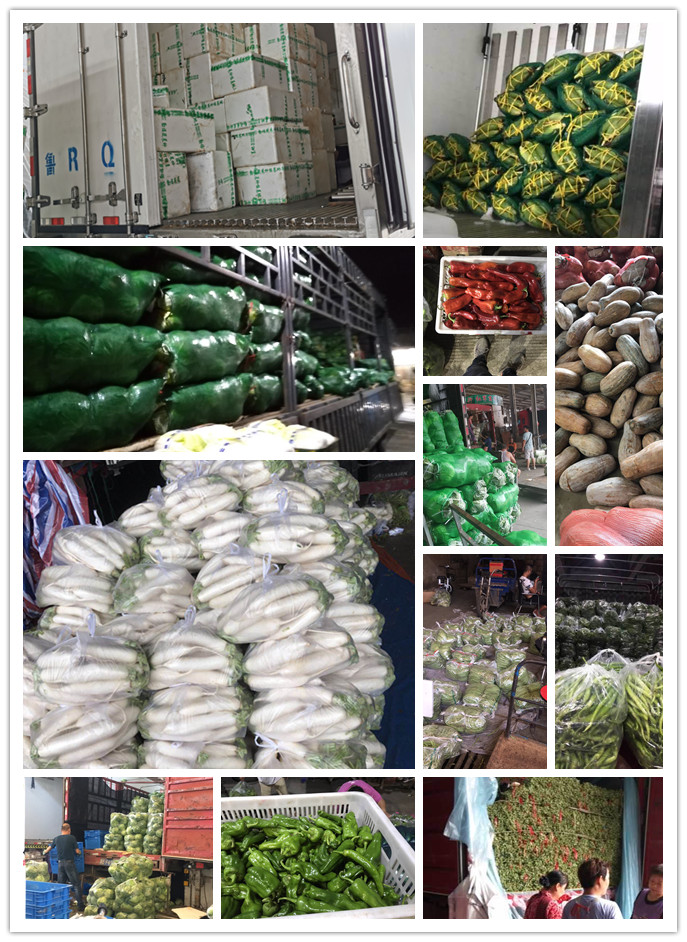 赏金船主·PG(中国游)官方网站