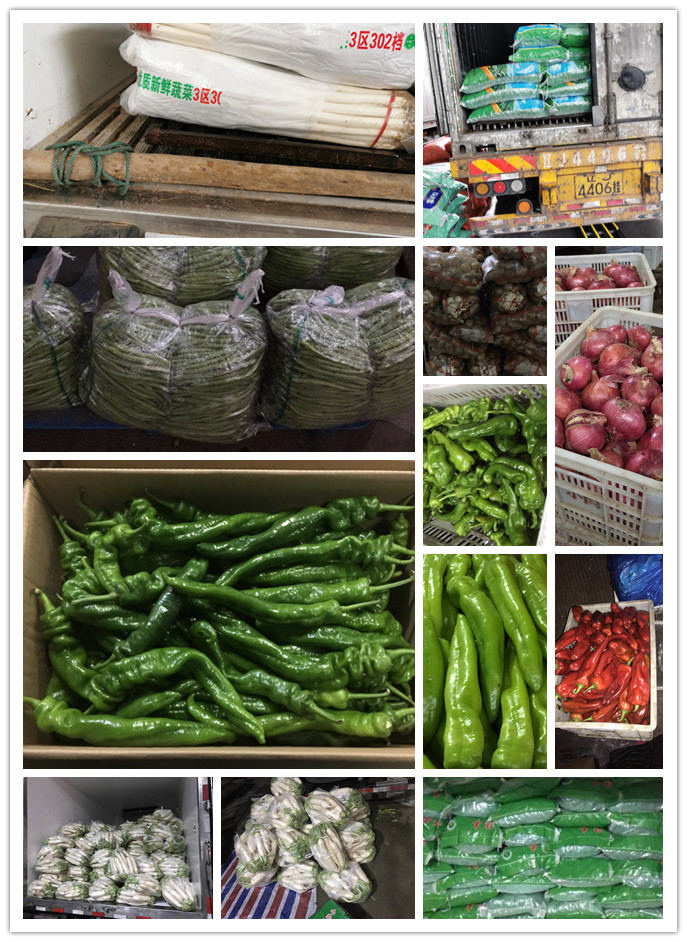 赏金船主·PG(中国游)官方网站