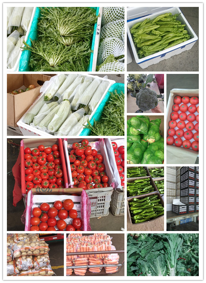 赏金船主·PG(中国游)官方网站