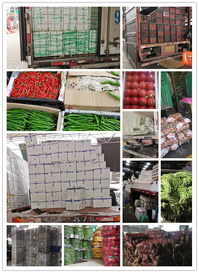 赏金船主·PG(中国游)官方网站