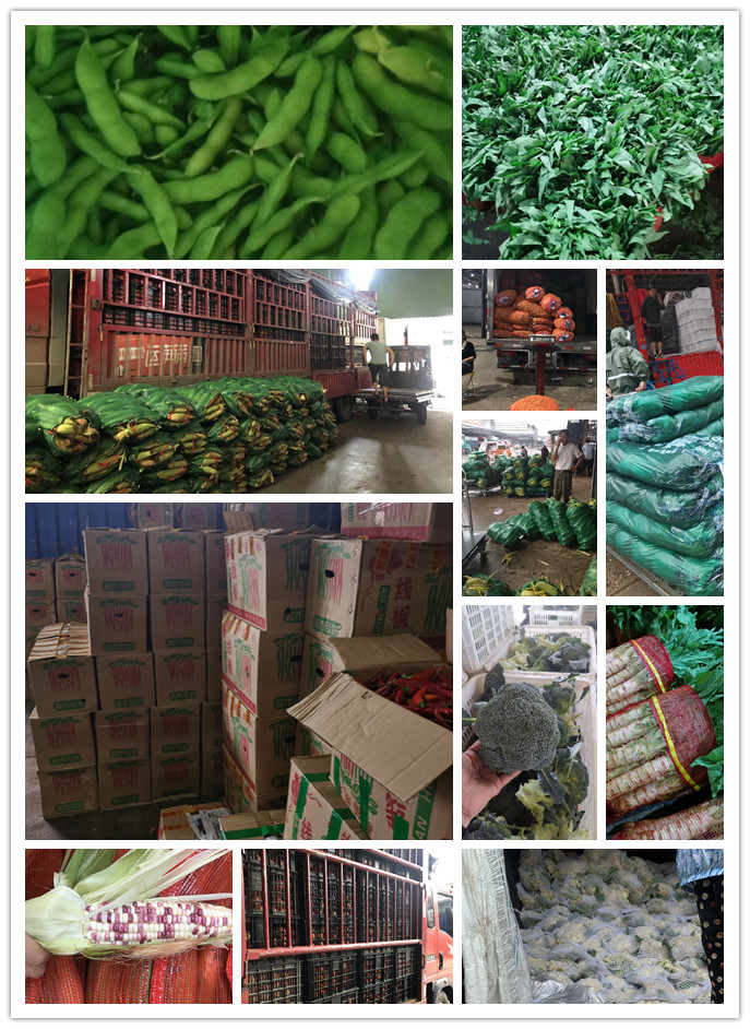 赏金船主·PG(中国游)官方网站