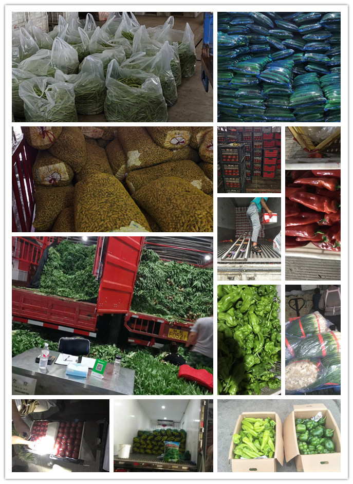 赏金船主·PG(中国游)官方网站