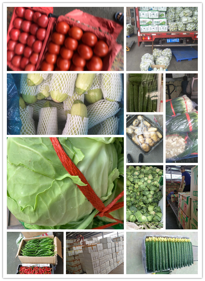 赏金船主·PG(中国游)官方网站