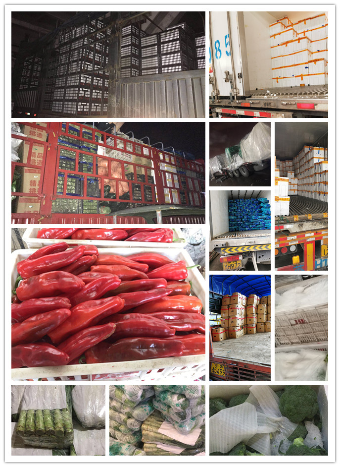 赏金船主·PG(中国游)官方网站