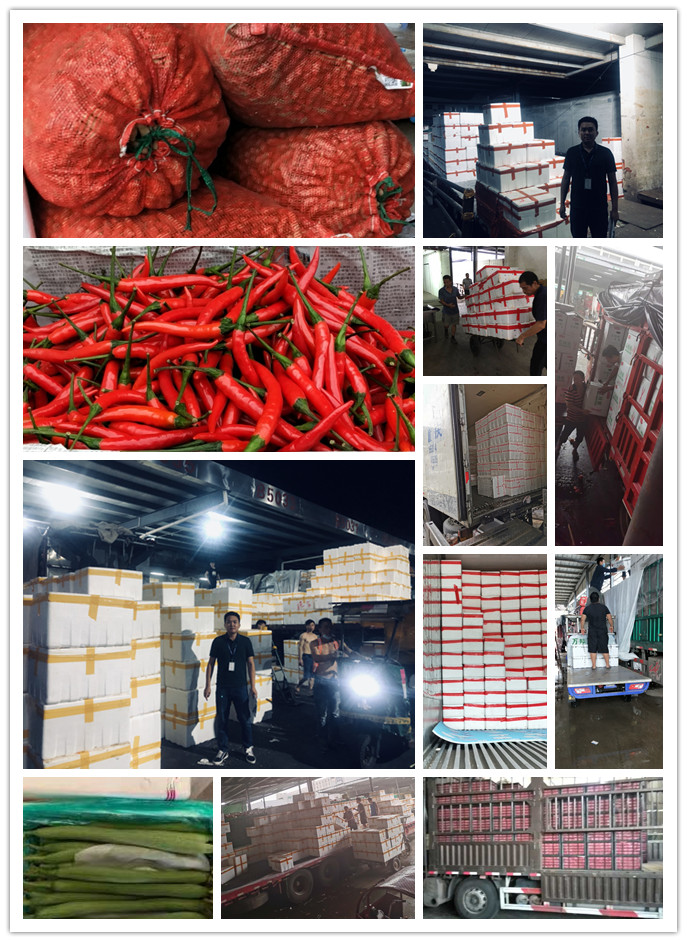 赏金船主·PG(中国游)官方网站