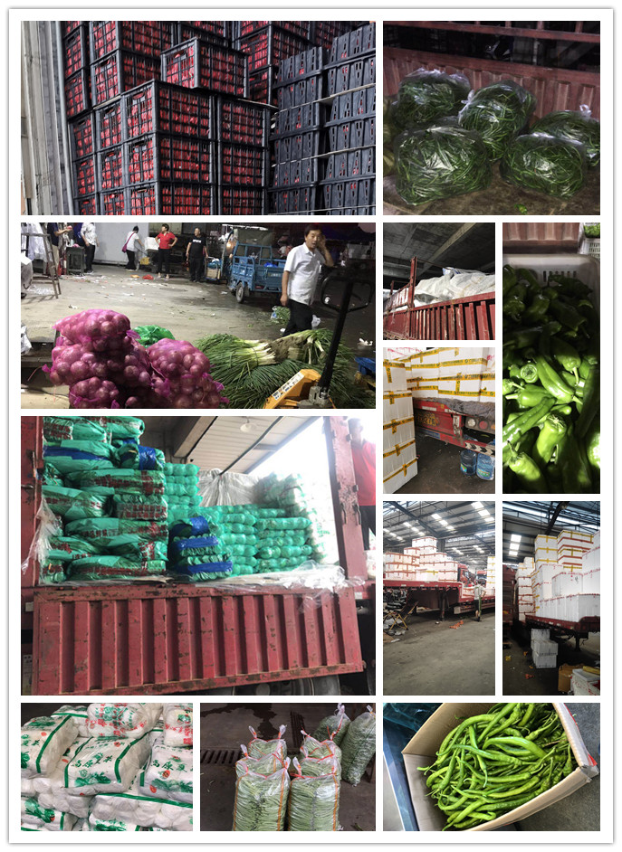 赏金船主·PG(中国游)官方网站