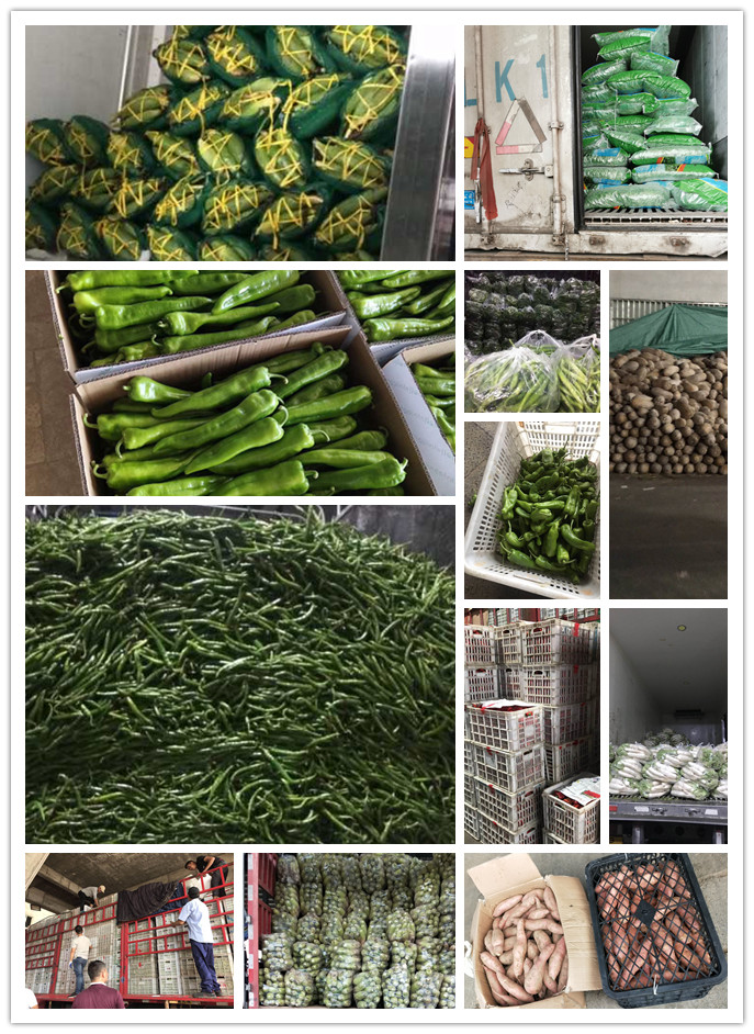 赏金船主·PG(中国游)官方网站