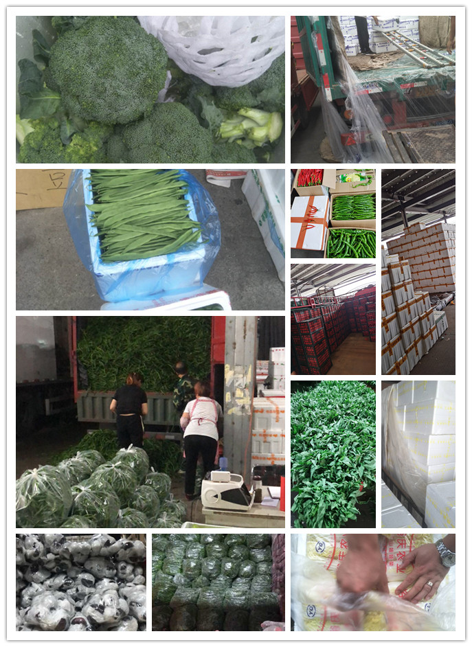 赏金船主·PG(中国游)官方网站