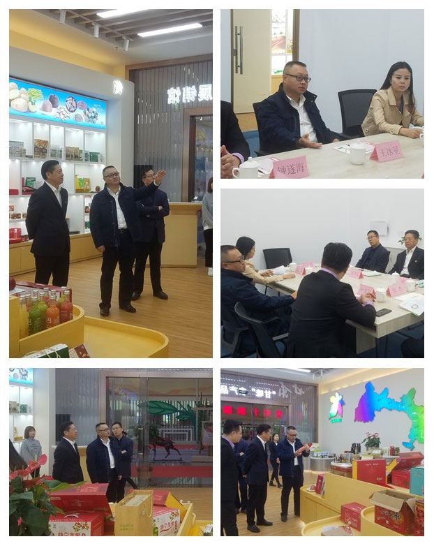 赏金船主·PG(中国游)官方网站