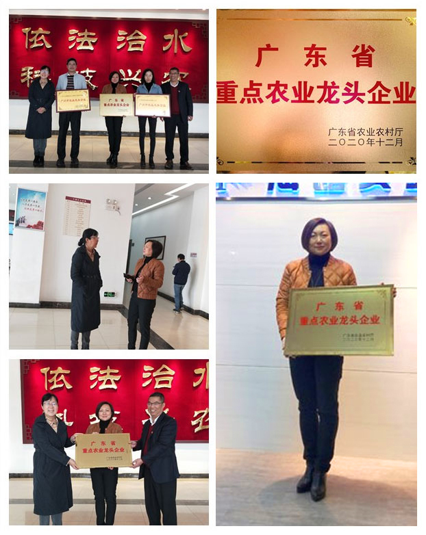 赏金船主·PG(中国游)官方网站