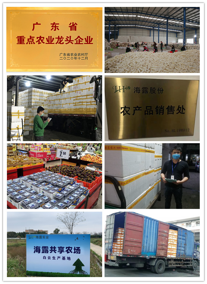 赏金船主·PG(中国游)官方网站