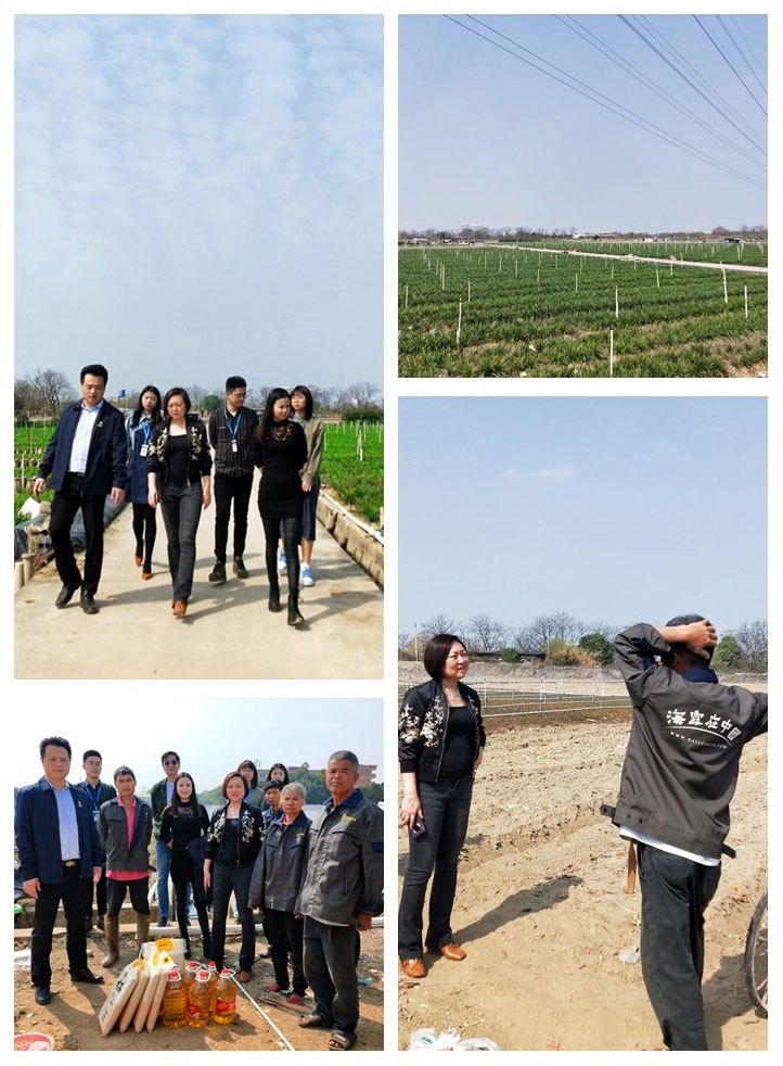 赏金船主·PG(中国游)官方网站