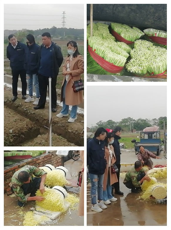 赏金船主·PG(中国游)官方网站