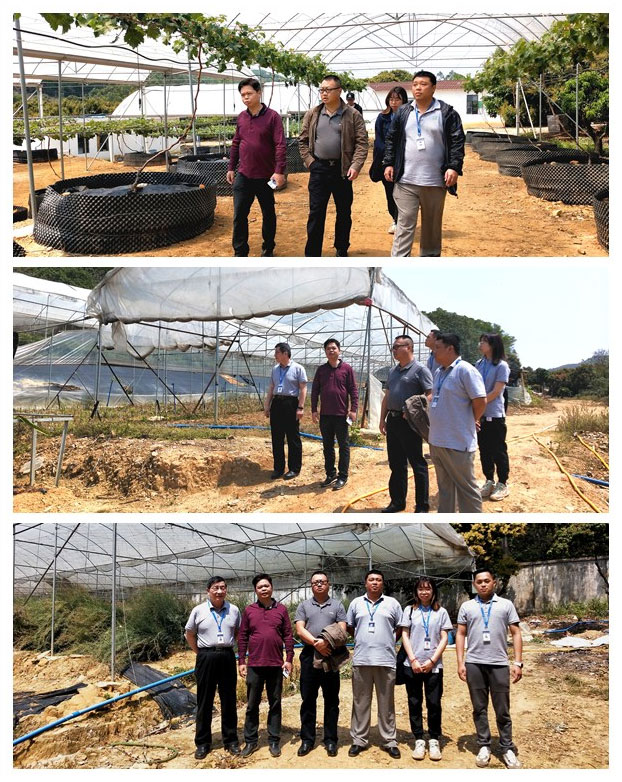 赏金船主·PG(中国游)官方网站